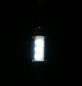 Festoon LED Bulb - White LED (pair)