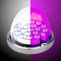 True Blue Outback Series : Clear Lens with White & Pink LED